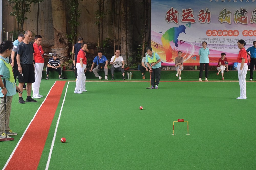 2022年市老年体协门球赛隆重举行