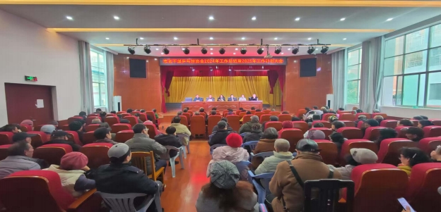 景德镇老干乒协：2024 辉煌总结 2025 崭新起航