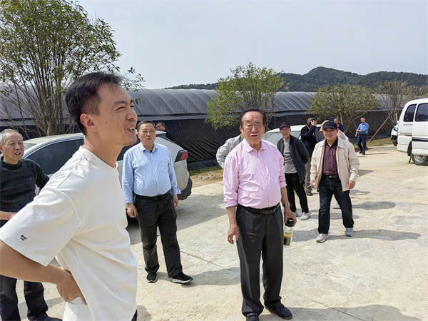 浮梁县老体活动为乡村振兴注入新活力